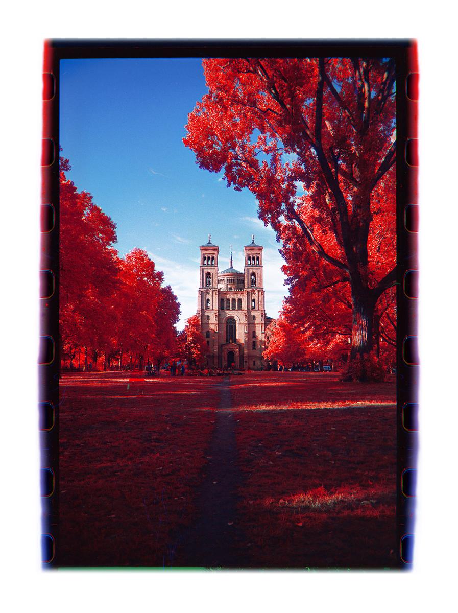 A path leads through a park with red trees to a large church with two towers under a bright blue sky.