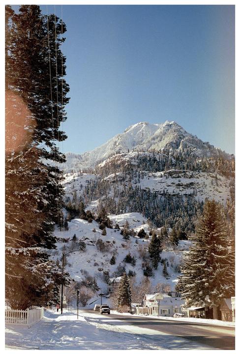 A snow-covered mountain rises above a street with houses and pine trees.