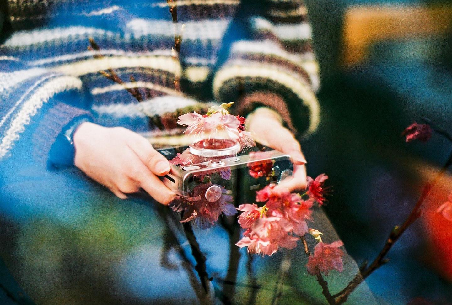A person in a striped sweater holds a camera with pink blossoms in the foreground and background.