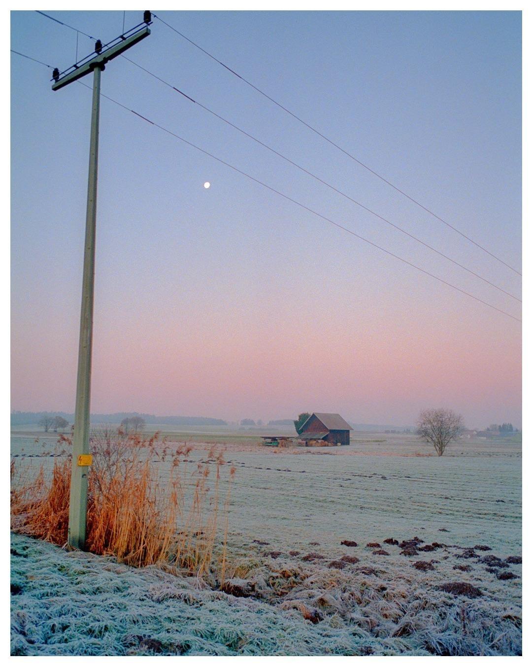 A utility pole stands in a frosty field with a barn and a tree in the distance under a pink and blue sky with the moon visible.