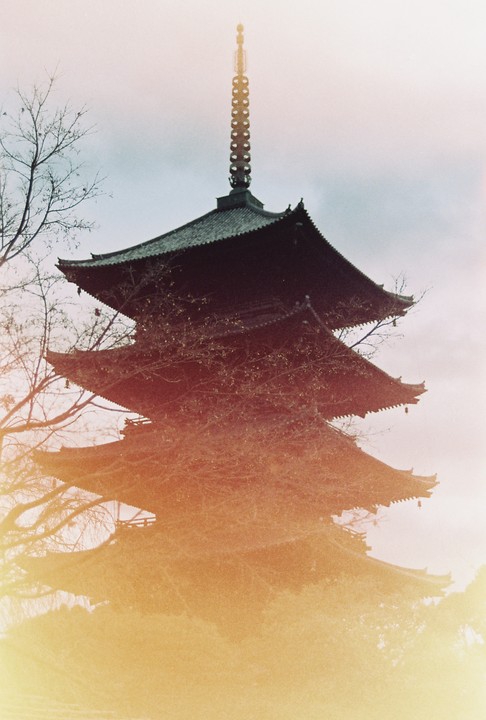 A pagoda is partially obscured by bare tree branches and a light leak.
