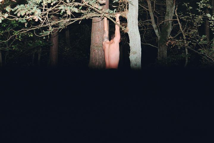 A man hangs from a tree branch in a dark forest.
