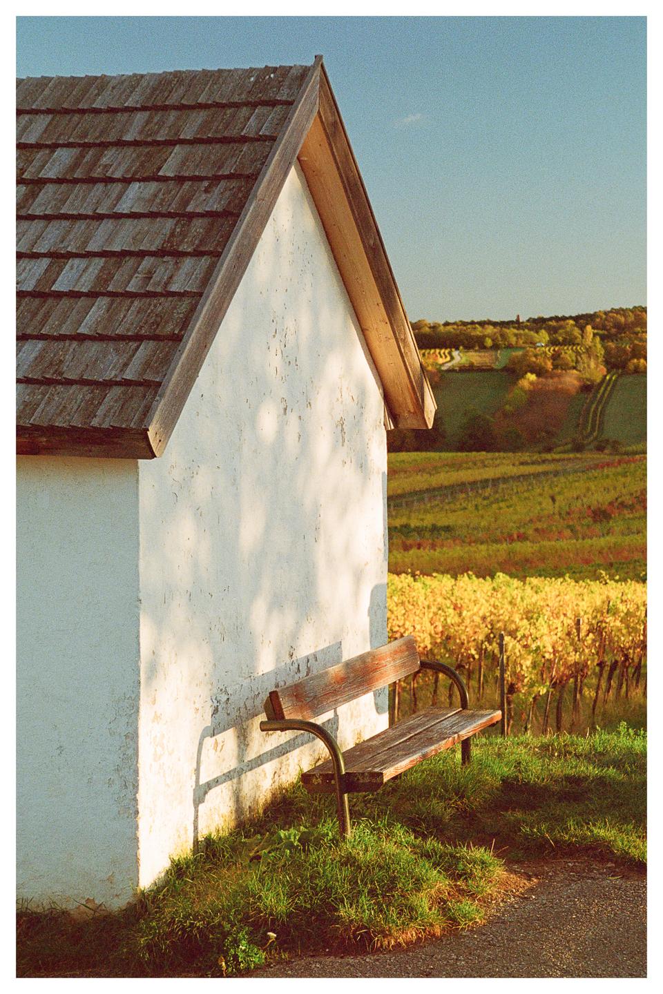A small white building with a wooden roof stands next to a wooden bench, overlooking a vineyard with autumn foliage.