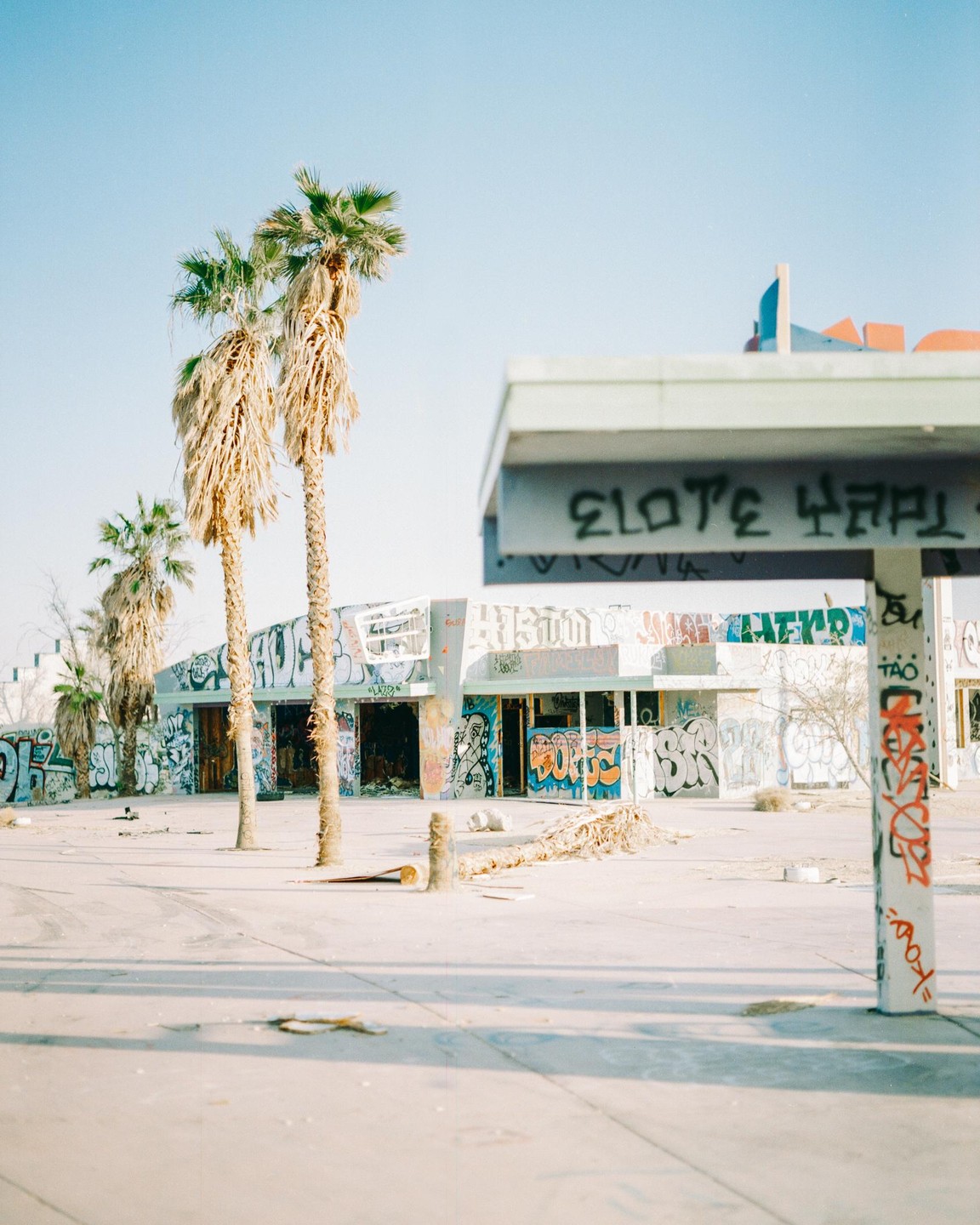 An abandoned waterpark building covered in graffiti stands behind a row of palm trees under a clear sky.