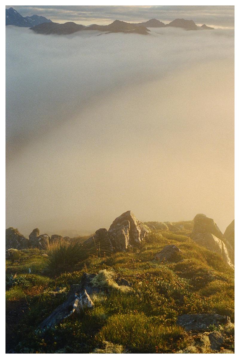 A rocky, grassy hillside overlooks a valley filled with fog, with mountain peaks visible in the distance.
