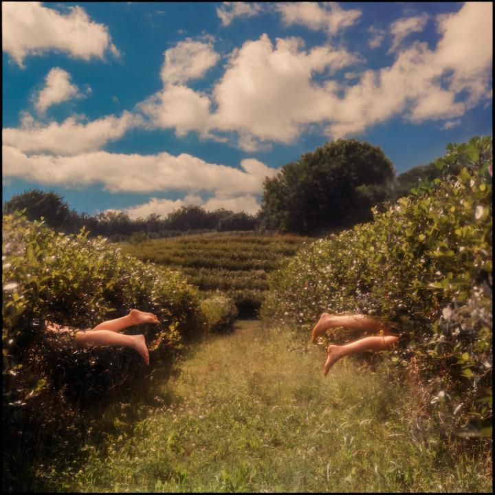 Two pairs of legs protrude from bushes in a field under a cloudy sky.