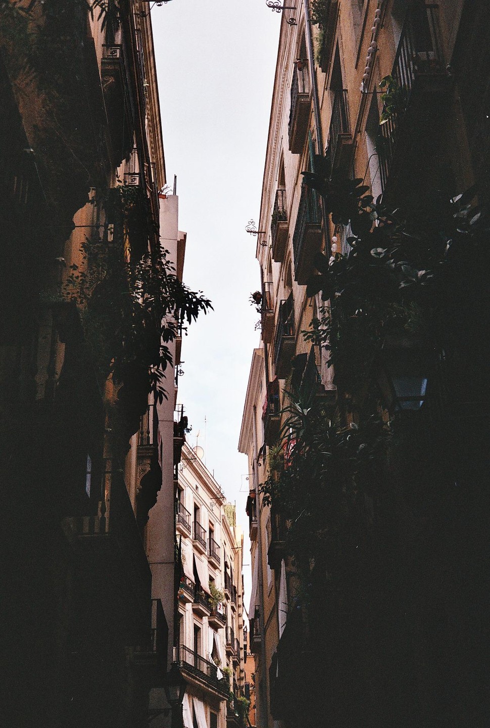 A narrow street in Barcelona is flanked by tall buildings with balconies and plants, with a sliver of sky visible above.