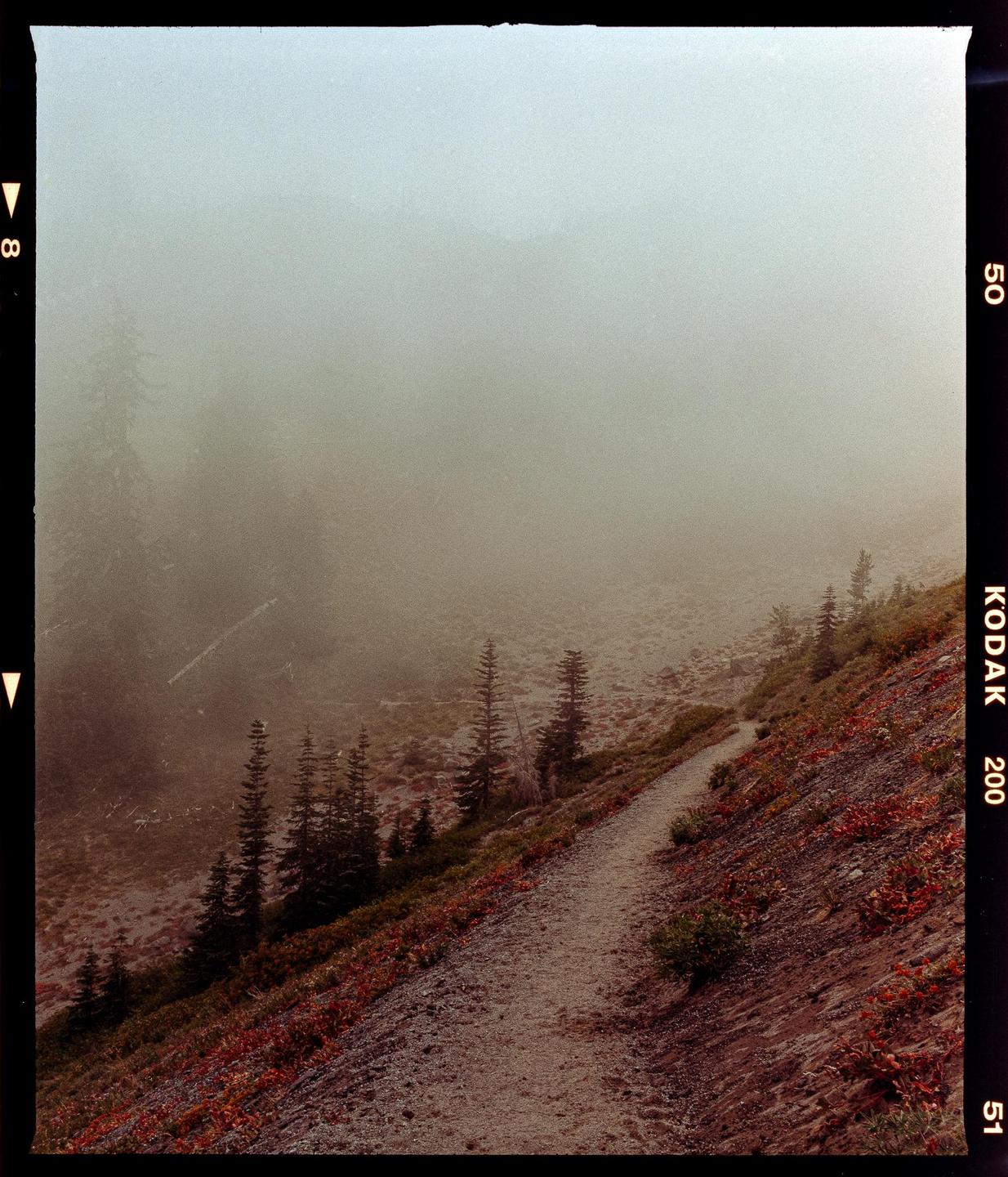 A narrow dirt path winds up a misty mountain slope covered in sparse trees and red foliage.