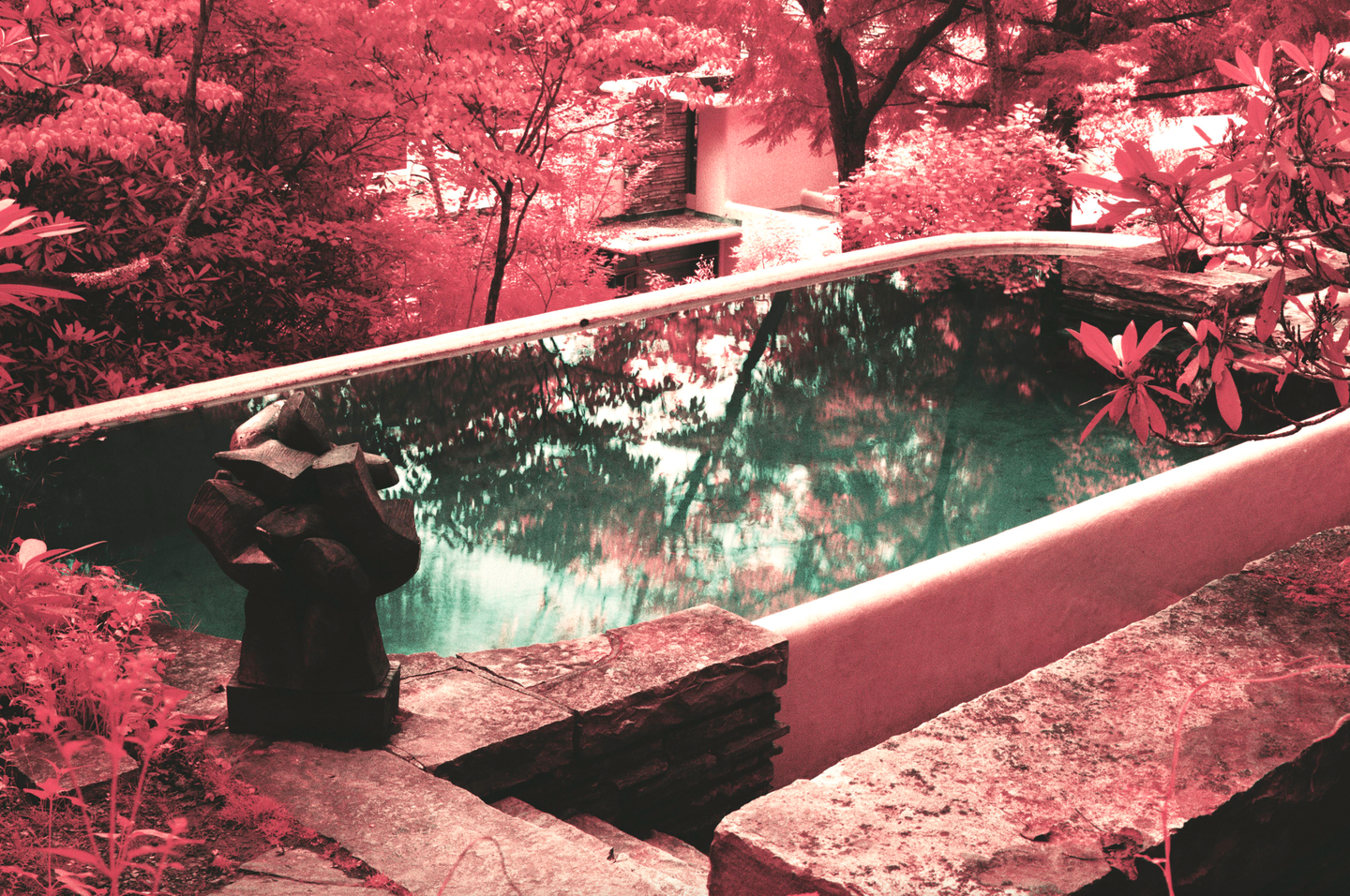 A swimming pool with a sculpture on its edge is surrounded by trees and foliage.