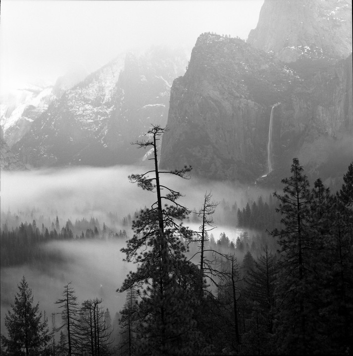 A waterfall cascades down a mountain into a valley filled with fog and pine trees.