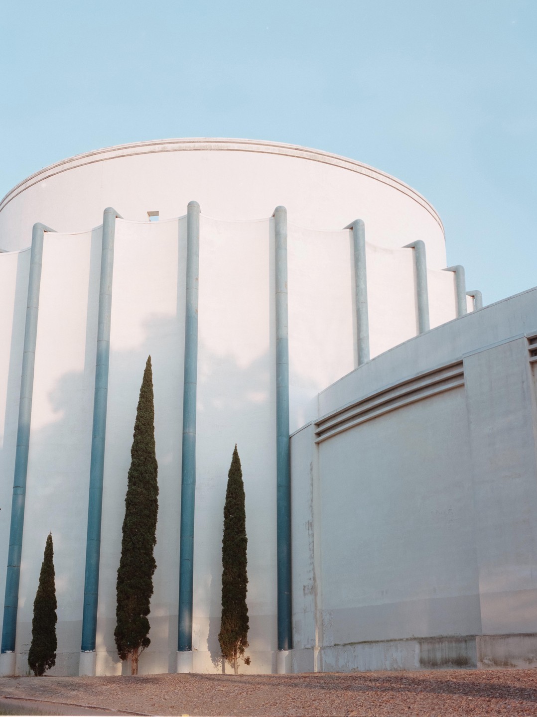 Three tall, narrow trees stand in front of a large, round, white building with blue vertical accents.