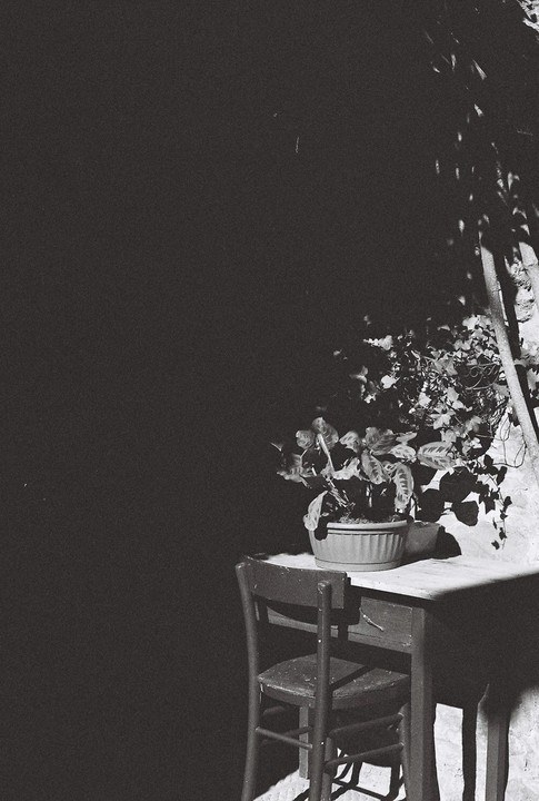 A potted plant sits on a small table next to a chair, with shadows cast on the wall behind them.