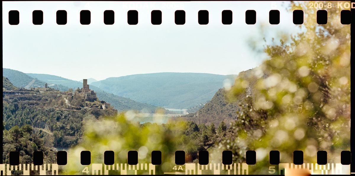 A panoramic landscape shows a castle on a hill overlooking a valley with a body of water, framed by out-of-focus foliage.