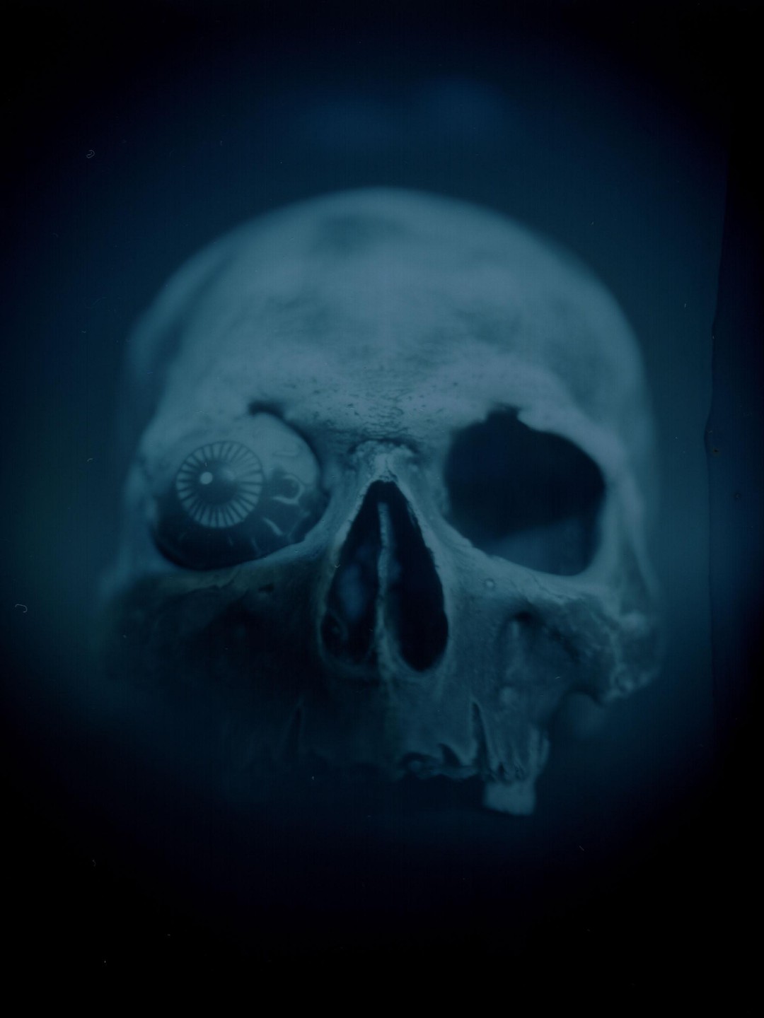 A skull with a glass eye in its left socket is illuminated against a dark background.