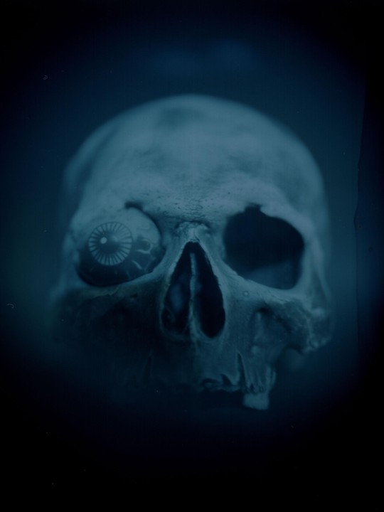 A skull with a glass eye in its left socket is illuminated against a dark background.