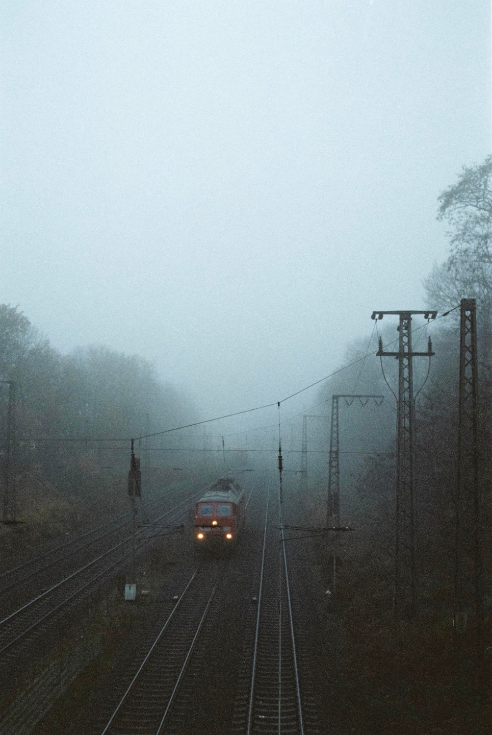 A red train with illuminated headlights approaches on a set of tracks through a foggy, wooded area with power lines overhead.