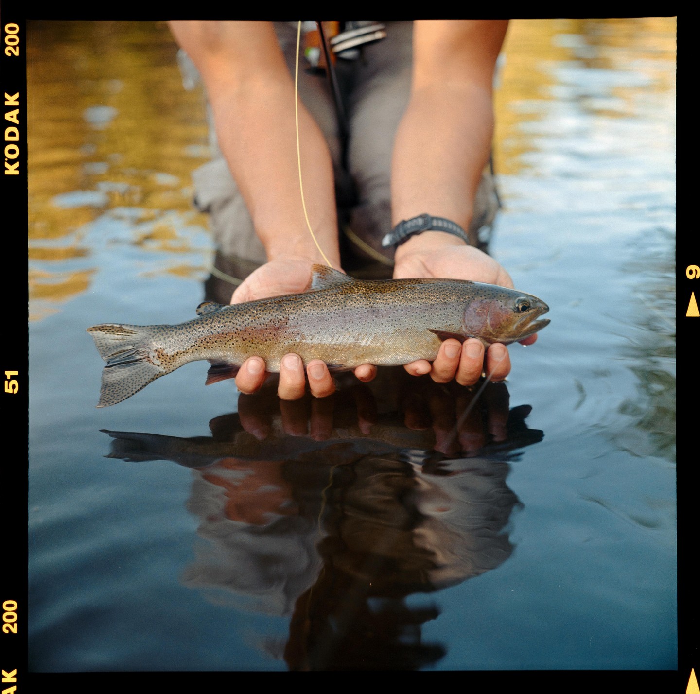 A person holds a trout over water, with its reflection visible below.