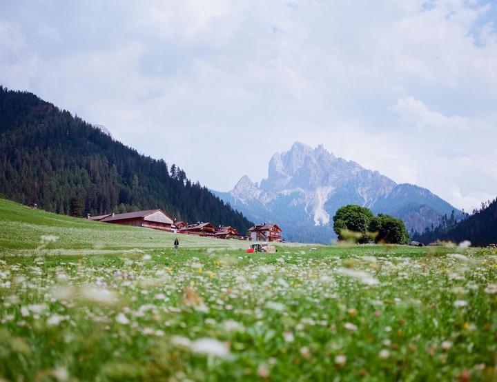 A field of wildflowers sits in the foreground of a small village nestled in a valley with a large mountain in the background.