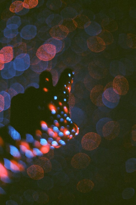 A hand is silhouetted against a background of red and blue bokeh lights.