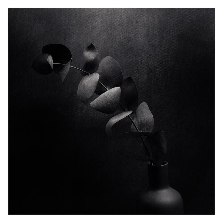 A branch with leaves is in a vase against a dark background.
