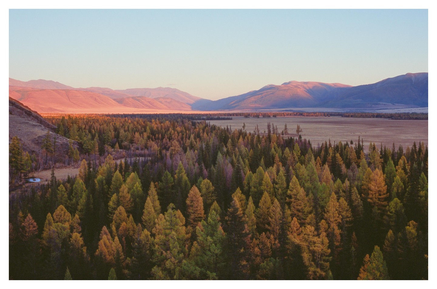 A dense forest of pine trees fills the foreground, with a wide valley and mountains in the background under a clear sky.