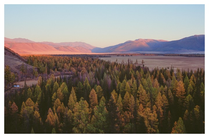 A dense forest of pine trees fills the foreground, with a wide valley and mountains in the background under a clear sky.