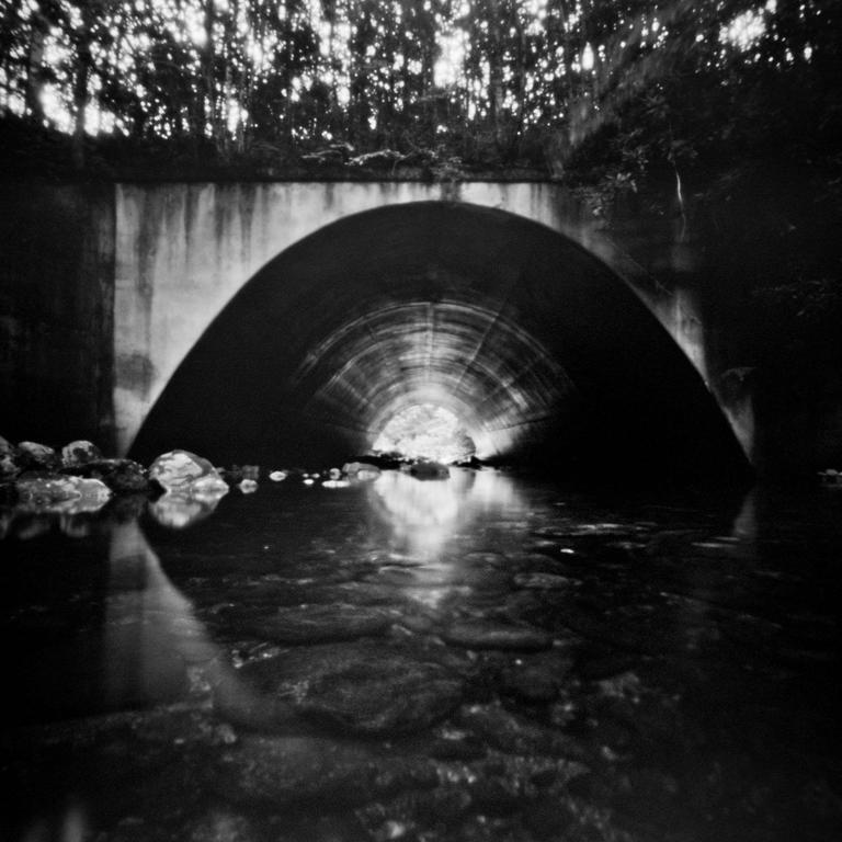 A concrete tunnel with water flowing through it leads to a bright opening, with trees visible above the tunnel.
