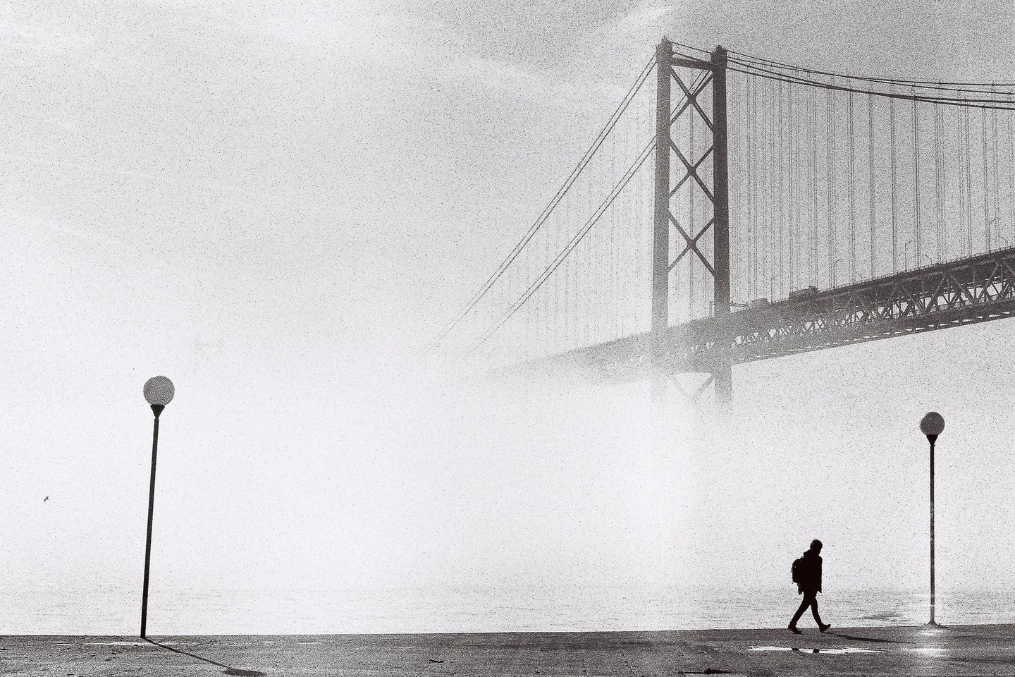 A person walks along a waterfront with a large bridge shrouded in fog in the background.