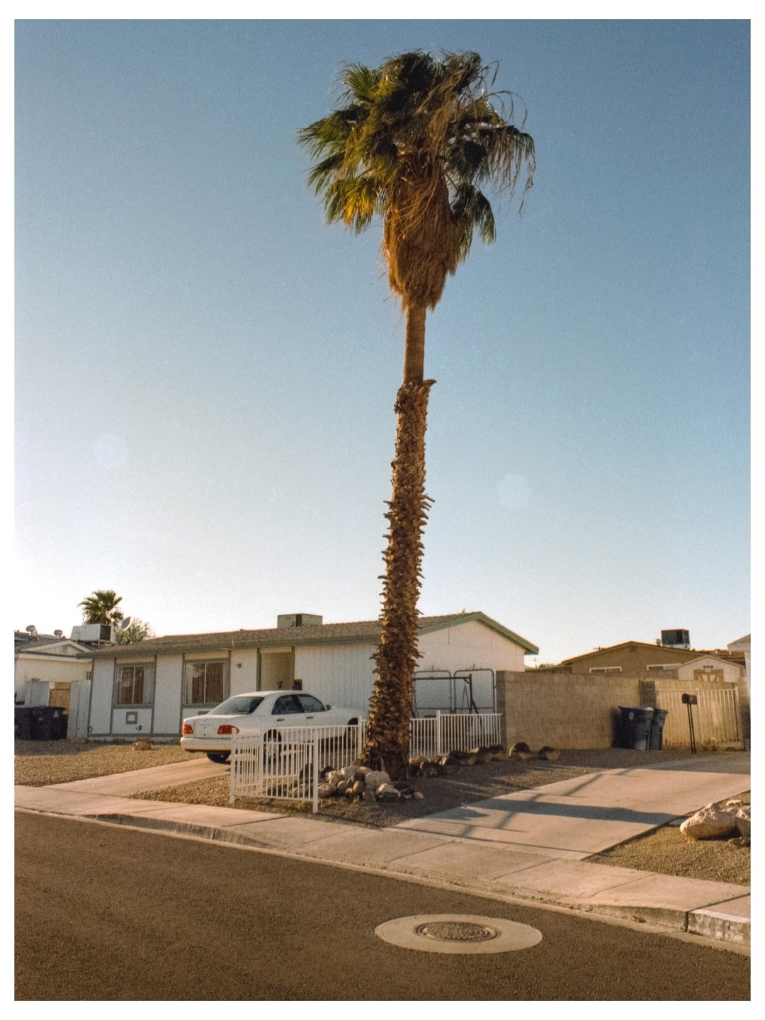 A tall palm tree stands in front of a white house with a car parked in the driveway.