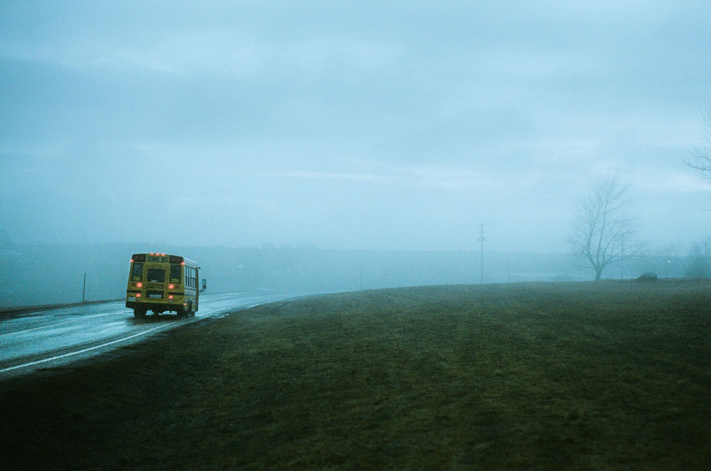 A yellow school bus drives away on a wet road through a foggy landscape with a bare tree on the right.