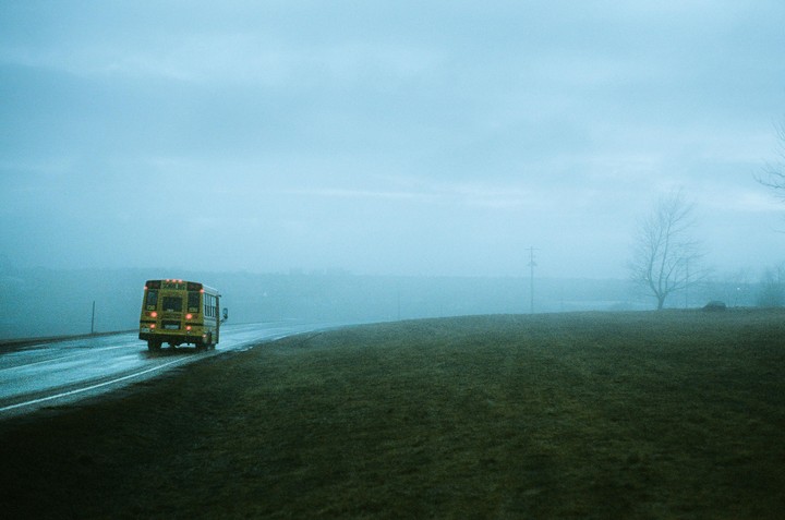 A yellow school bus drives away on a wet road through a foggy landscape with a bare tree on the right.