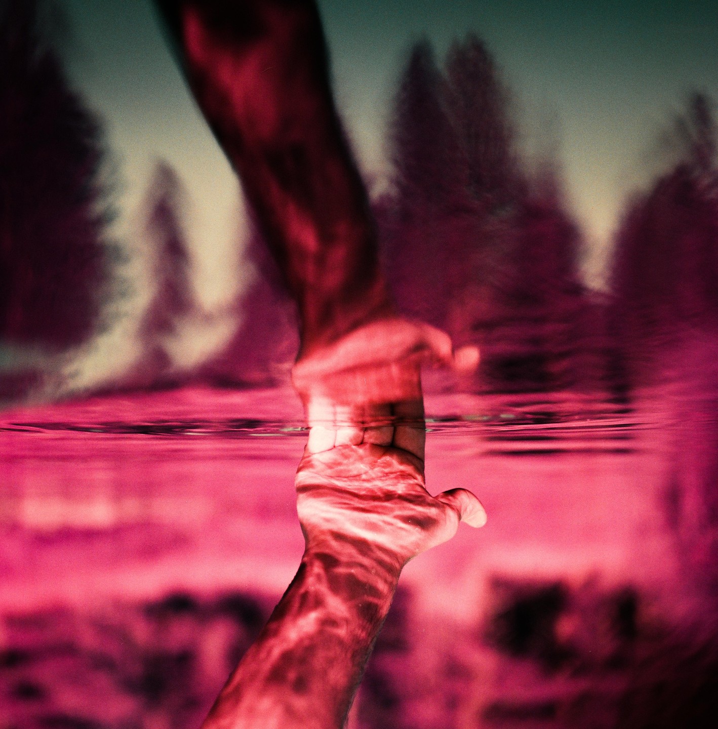 A hand reaches out of pink water towards a blurry background of trees.