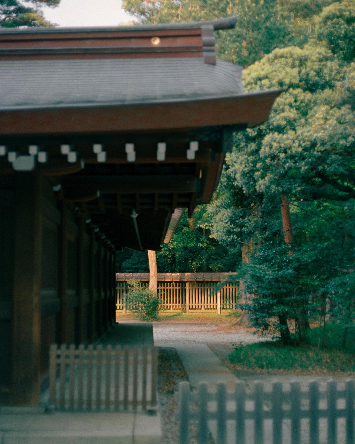 A traditional Japanese building with a dark roof and wooden details stands next to a path and a wooden fence, surrounded by lush green trees.