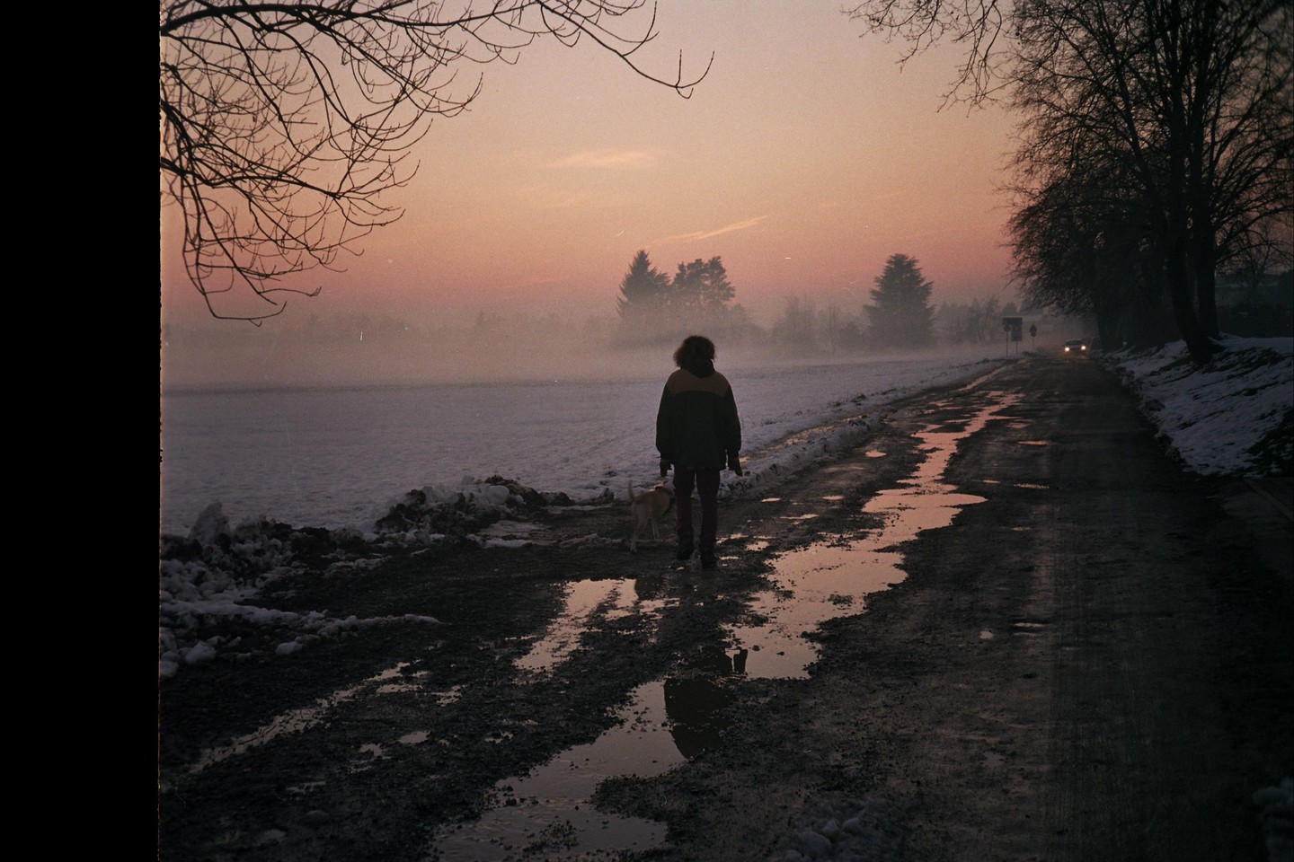 A person walks a dog on a muddy road next to a snowy field at dusk.