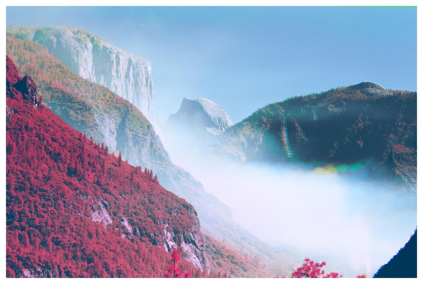 A valley with a red forest on the left and a mountain peak in the distance is filled with a thick layer of fog.