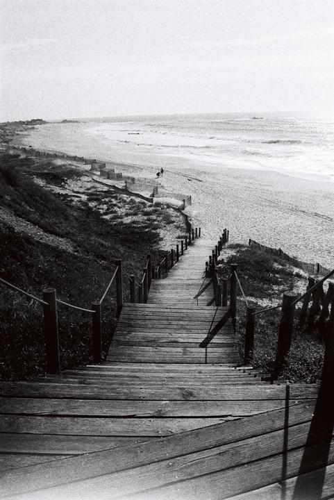 A long wooden staircase leads down to a sandy beach with a person and a dog walking near the water.