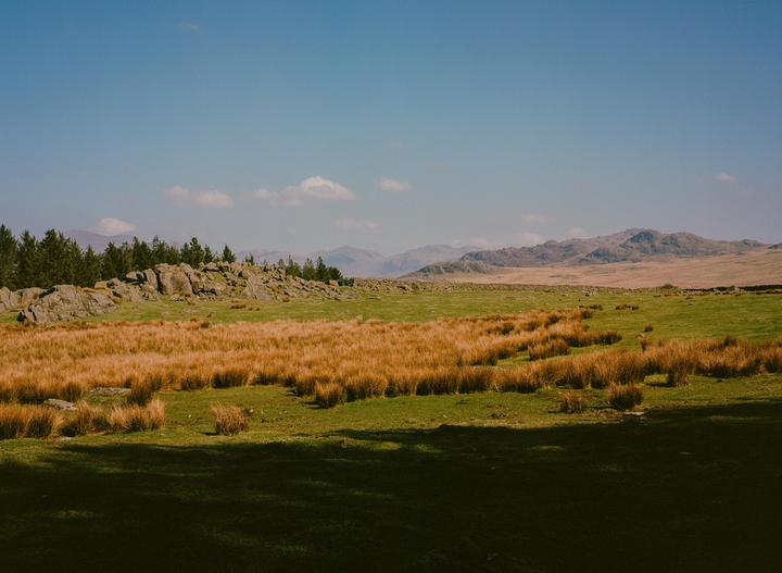 A wide landscape shows a field with green and brown grass, a line of trees and rocks, and mountains in the distance under a blue sky.