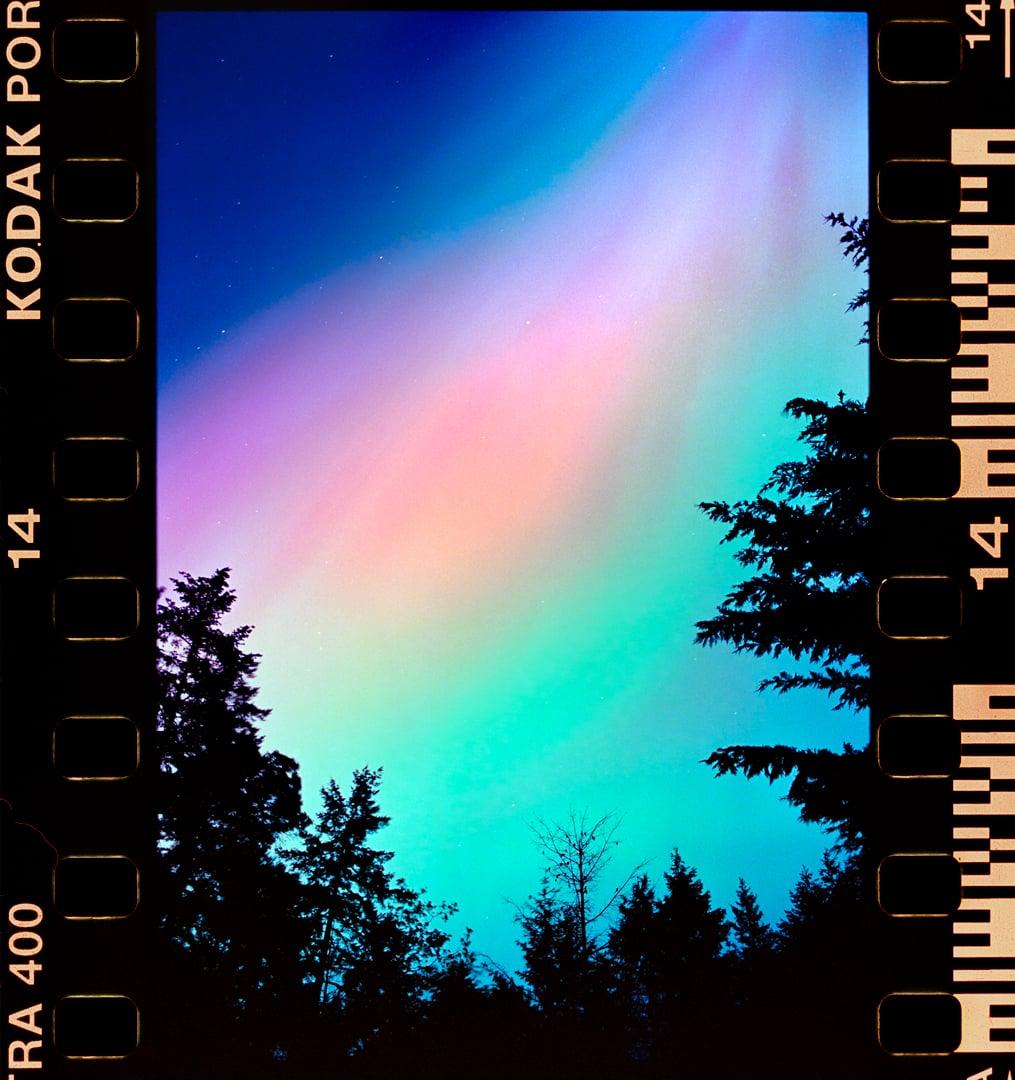 A colorful aurora borealis lights up the night sky above a forest.
