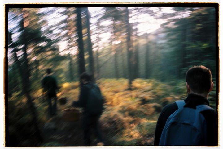 Three men walk through a forest with baskets, with one man in the foreground facing away from the viewer.