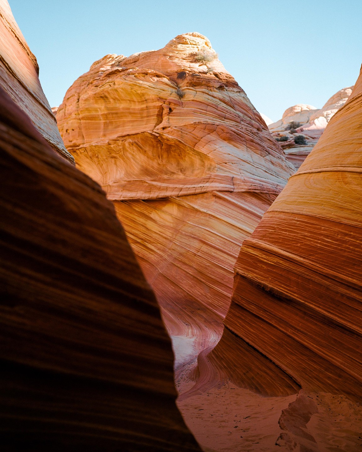 A narrow canyon with wavy, striped rock formations is illuminated by sunlight.