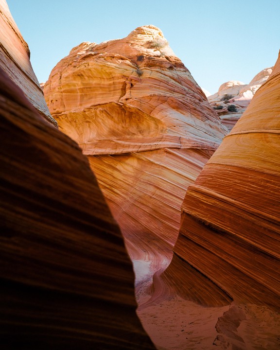 A narrow canyon with wavy, striped rock formations is illuminated by sunlight.