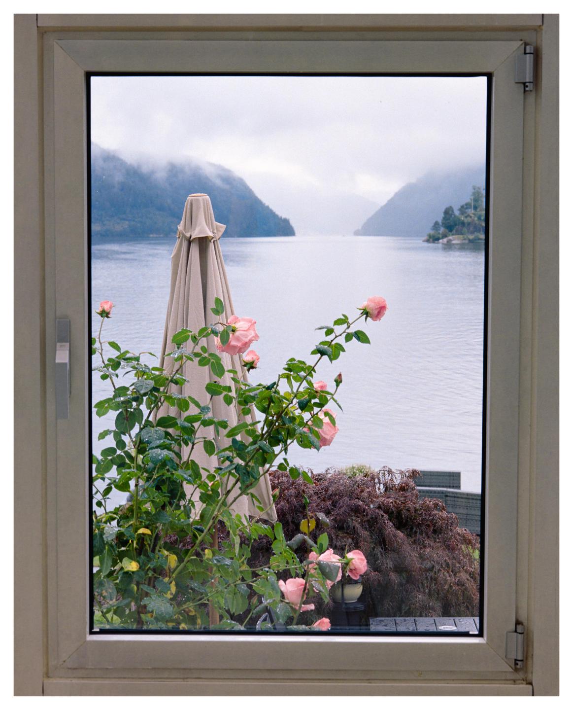 Pink roses and a closed patio umbrella are visible through a window overlooking a fjord surrounded by mountains.