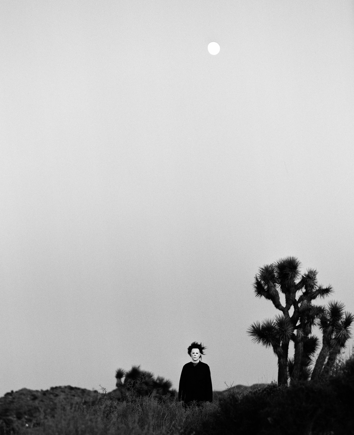 A person in a Michael Myers mask stands in a desert landscape with a Joshua tree under a full moon.