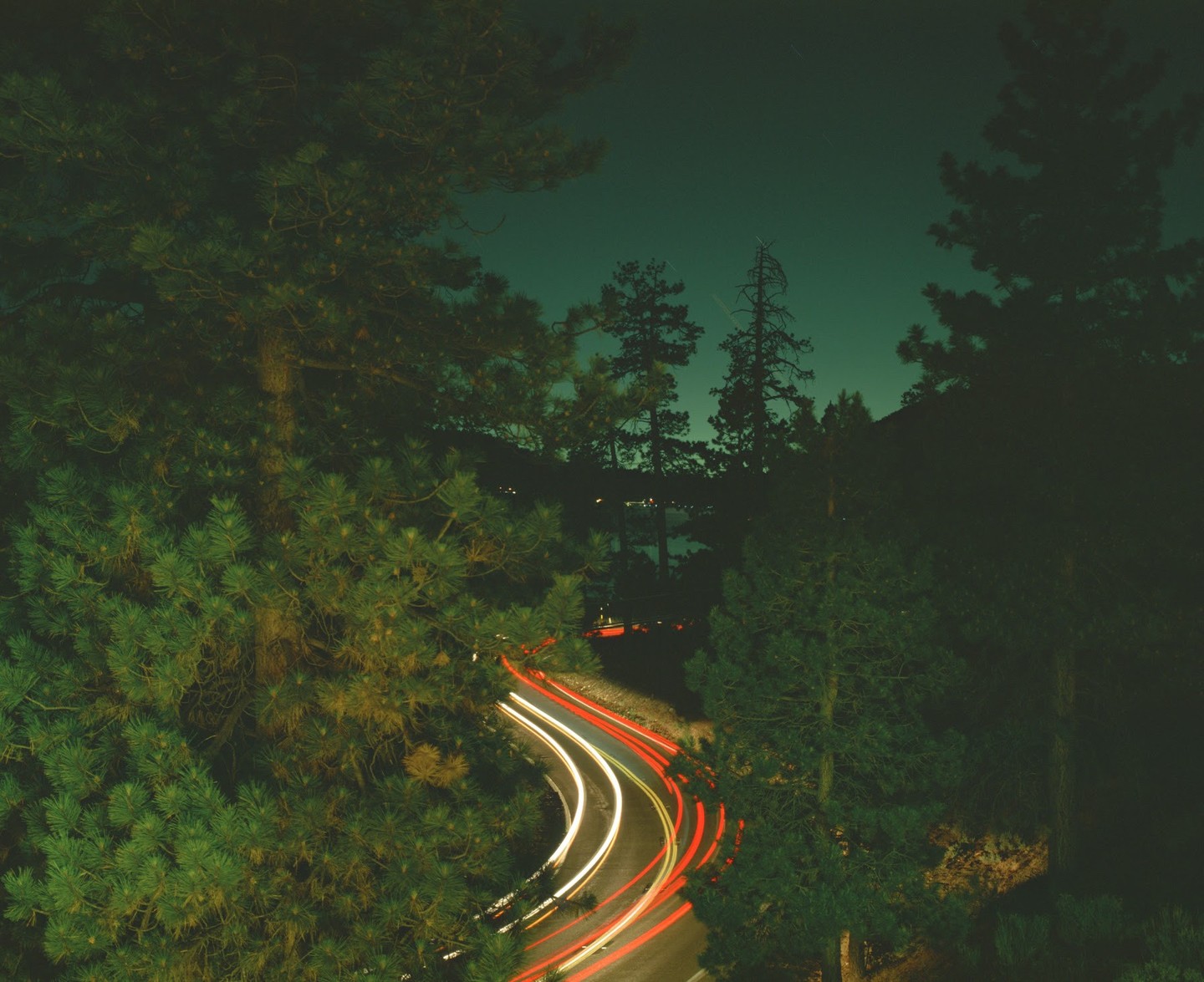 A winding road with light trails from vehicles is visible through pine trees at night.