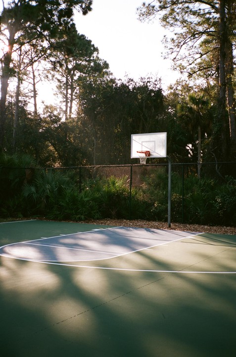 A basketball hoop stands on a court surrounded by lush green foliage and tall trees.