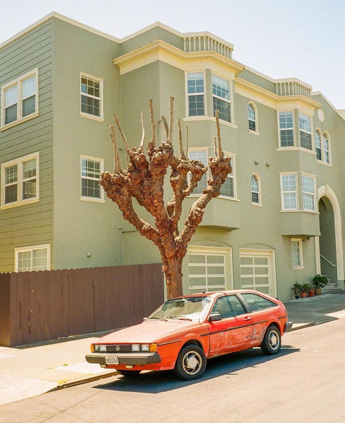An orange car is parked on a street in front of a large green building and a bare tree.