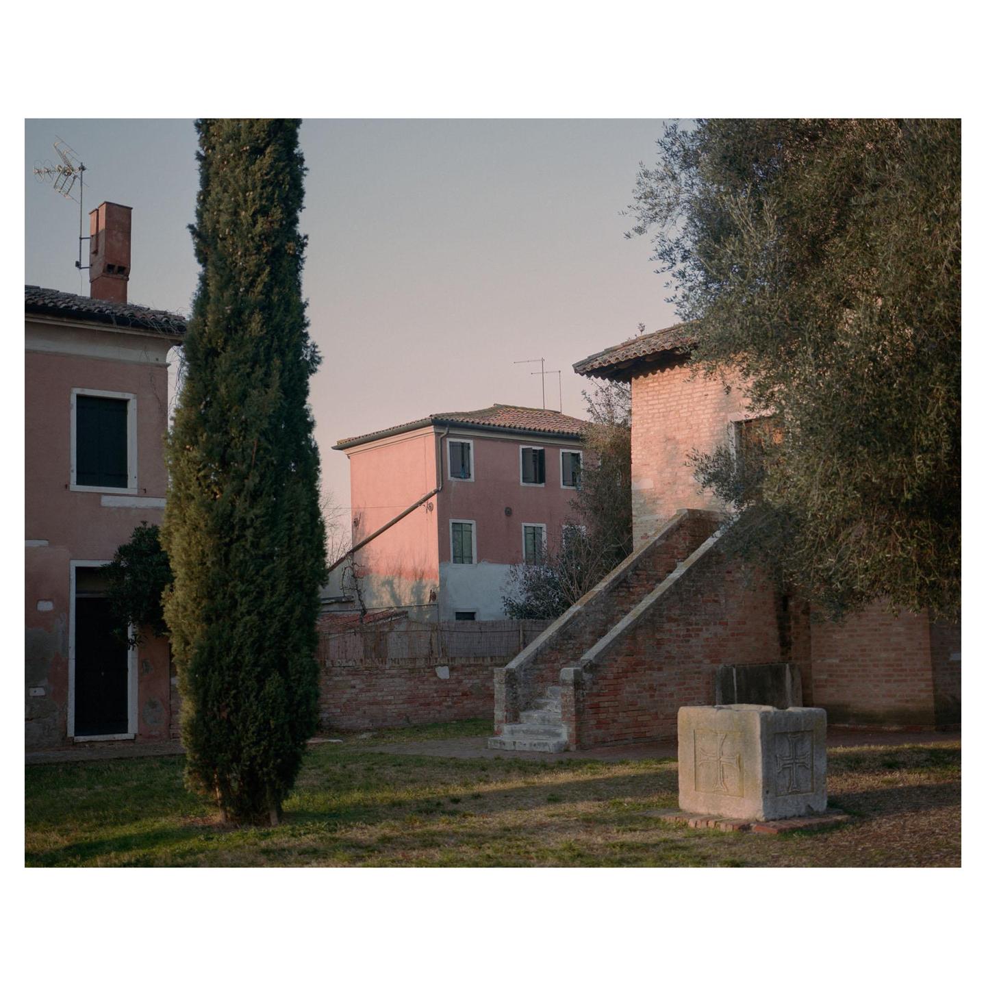 A tall cypress tree stands in a grassy yard with buildings and a stone well at sunset.