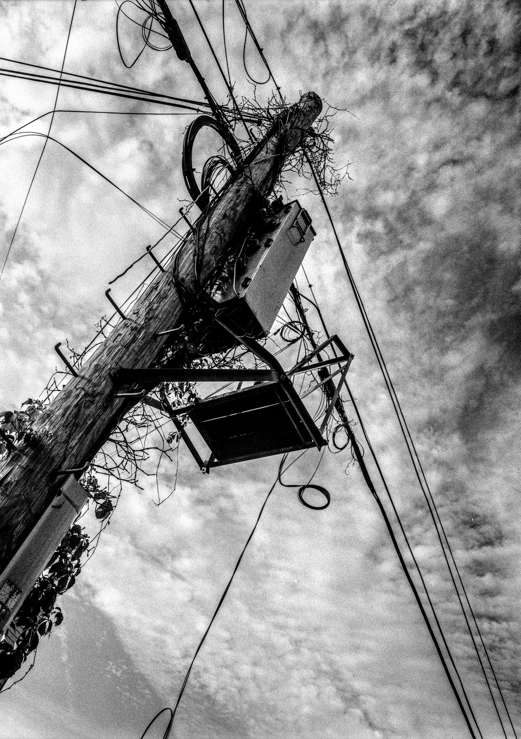 A low-angle view shows a utility pole with many wires against a cloudy sky.