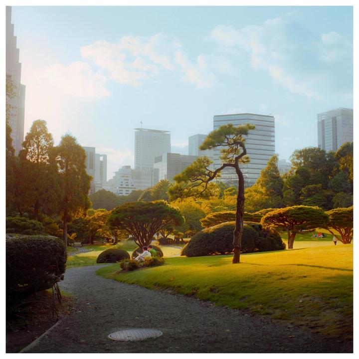 A winding path leads through a lush park with manicured trees and distant city buildings under a bright sky.