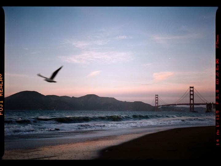 A bird flies over a beach with waves crashing, mountains in the distance, and the Golden Gate Bridge under a pastel sky.